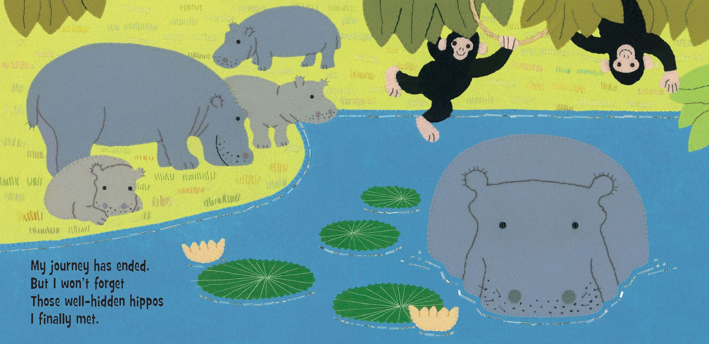 Hidden Hippo