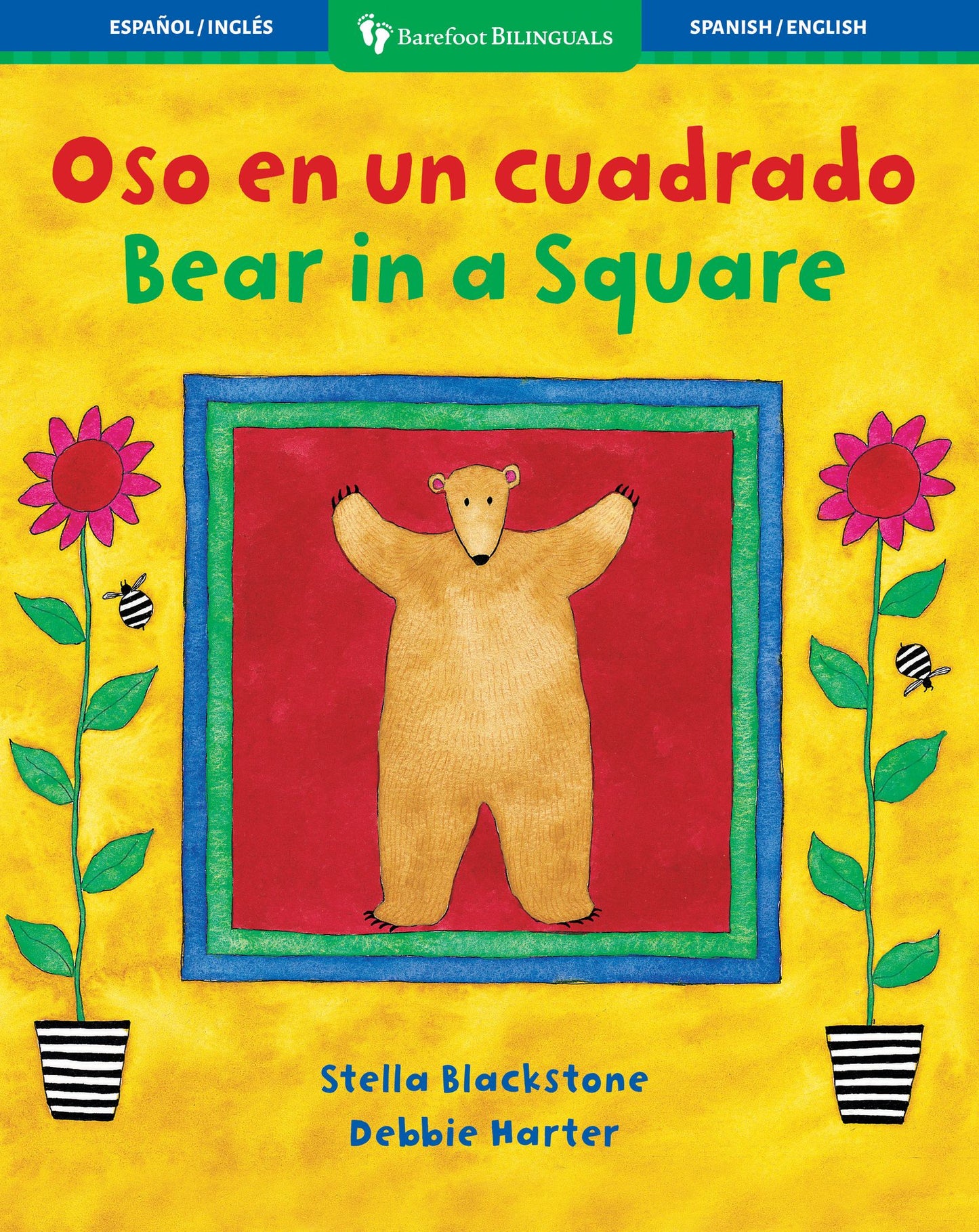 Oso en un cuadrado (Bear in a Square)