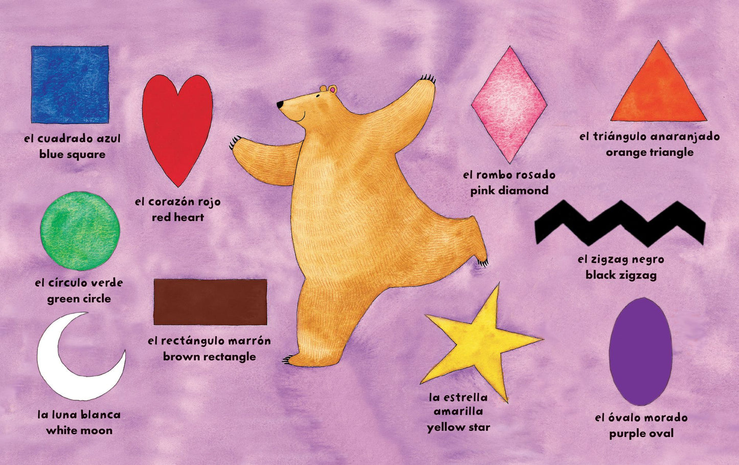 Oso en un cuadrado (Bear in a Square)