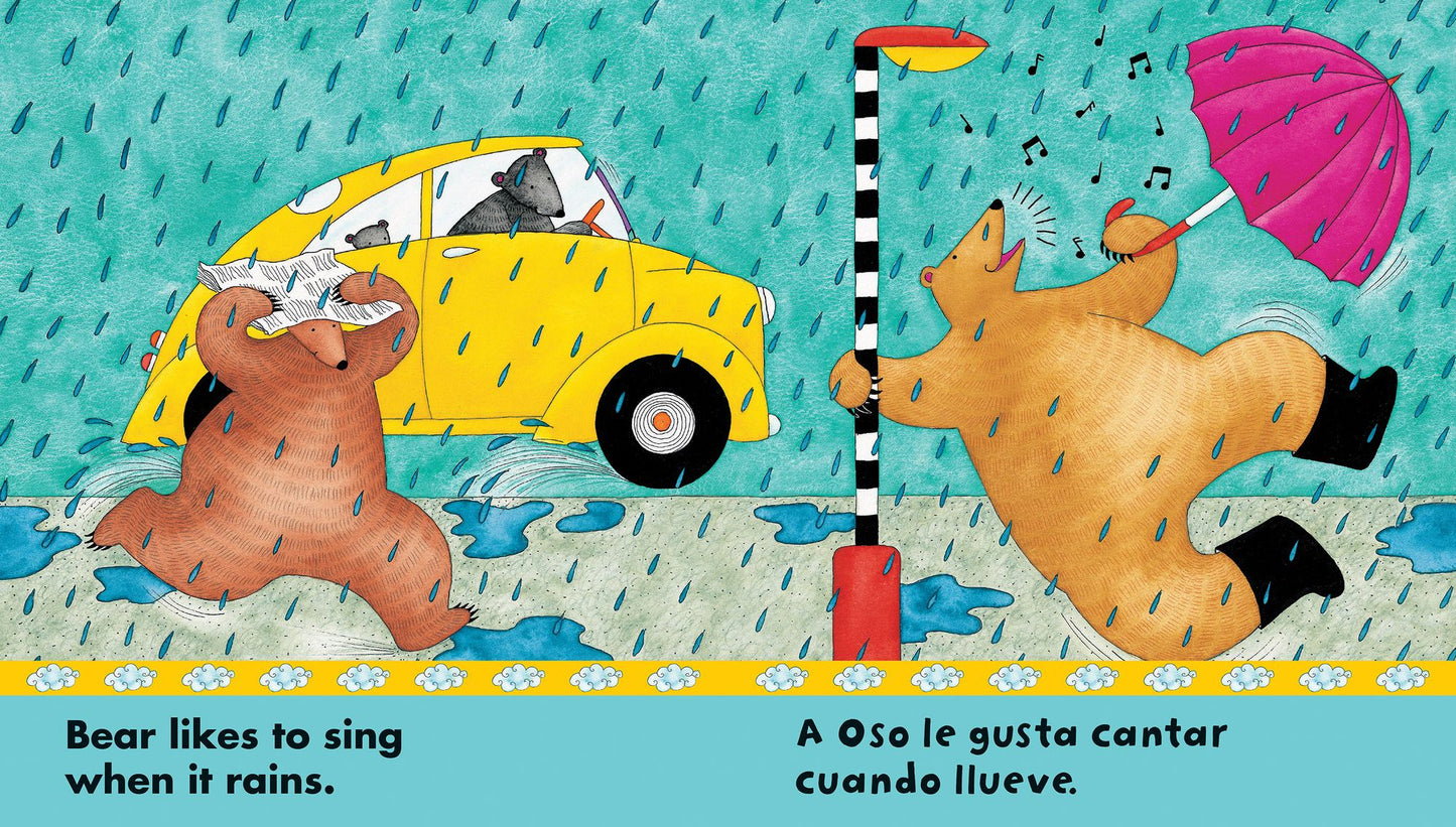 Bear in Sunshine (Oso bajo el sol)