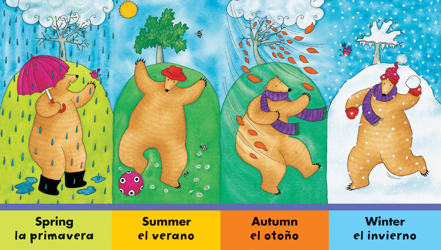 Bear in Sunshine (Oso bajo el sol)