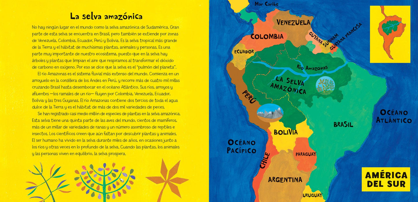 Un recorrido por la selva