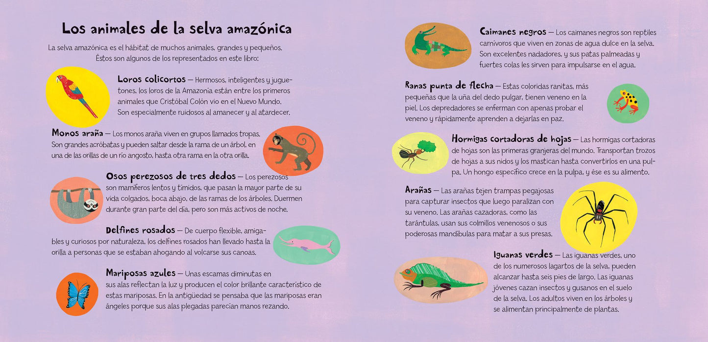 Un recorrido por la selva