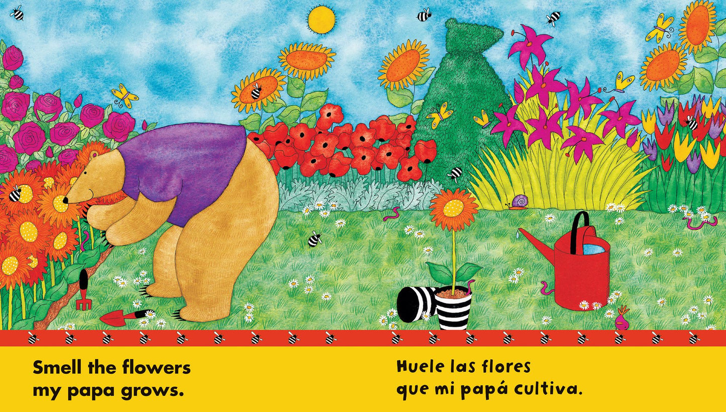 Bear's Busy Family BILSPB