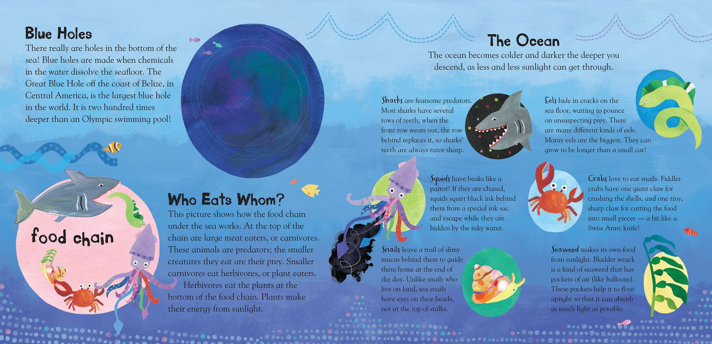 A Hole in the Bottom of the Sea