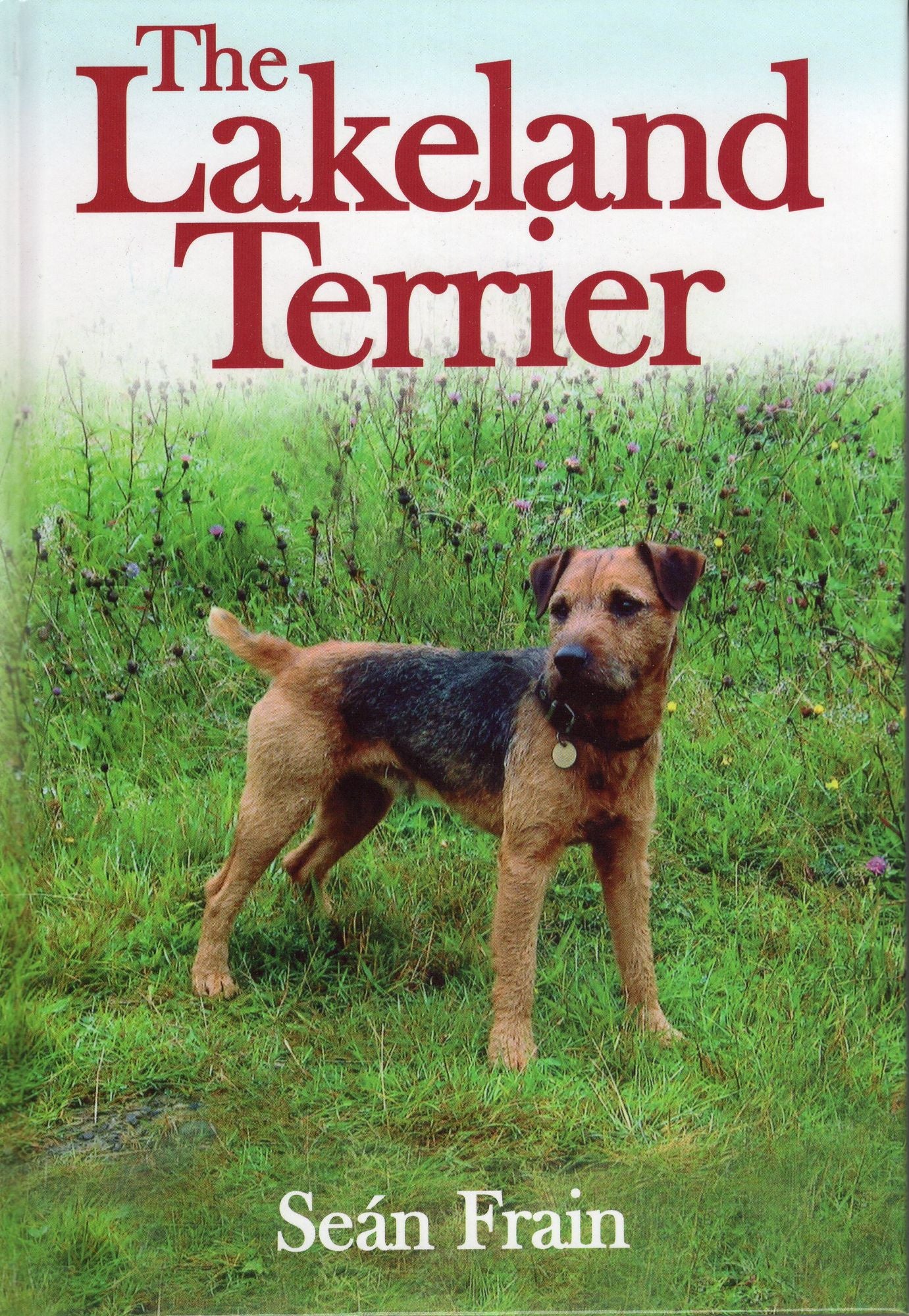 The Lakeland Terrier