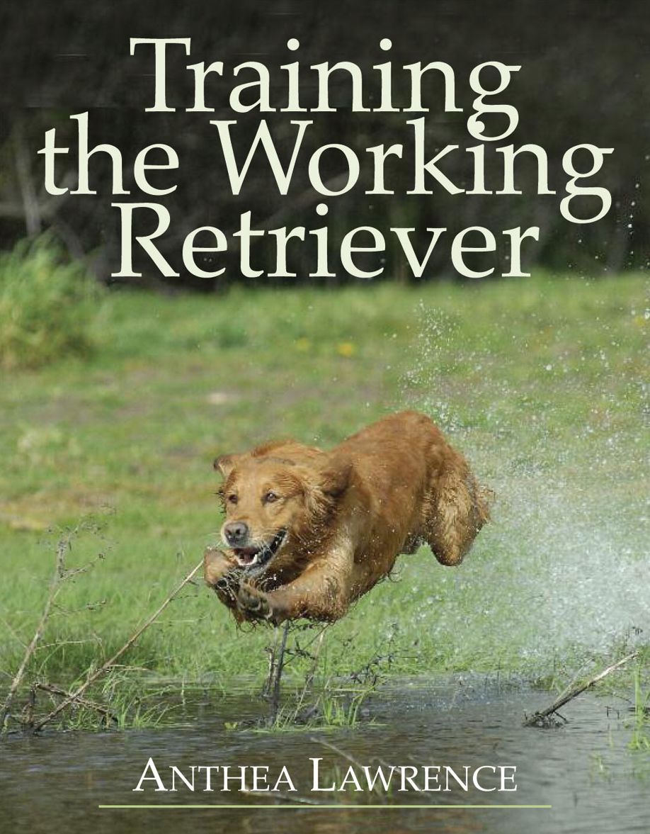 Training The Working Retriever