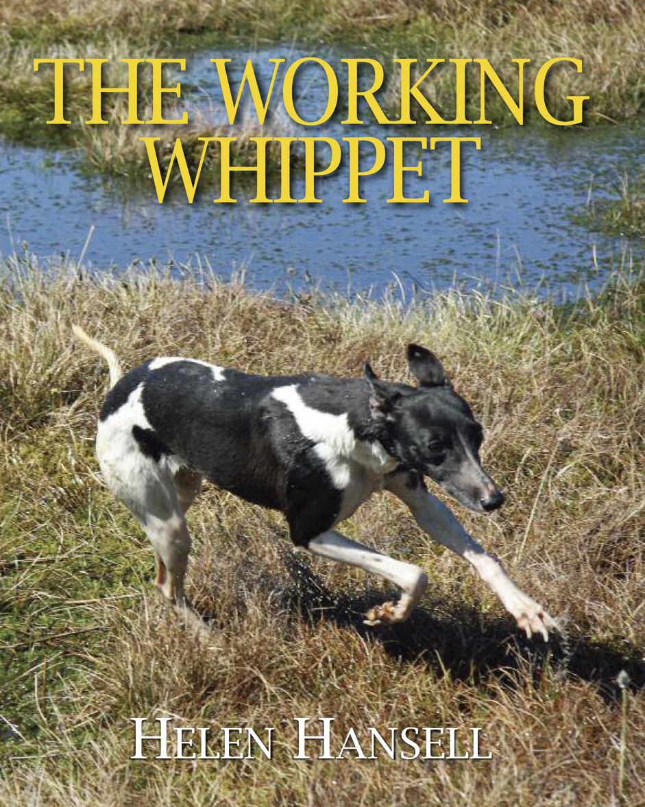 The Working Whippet