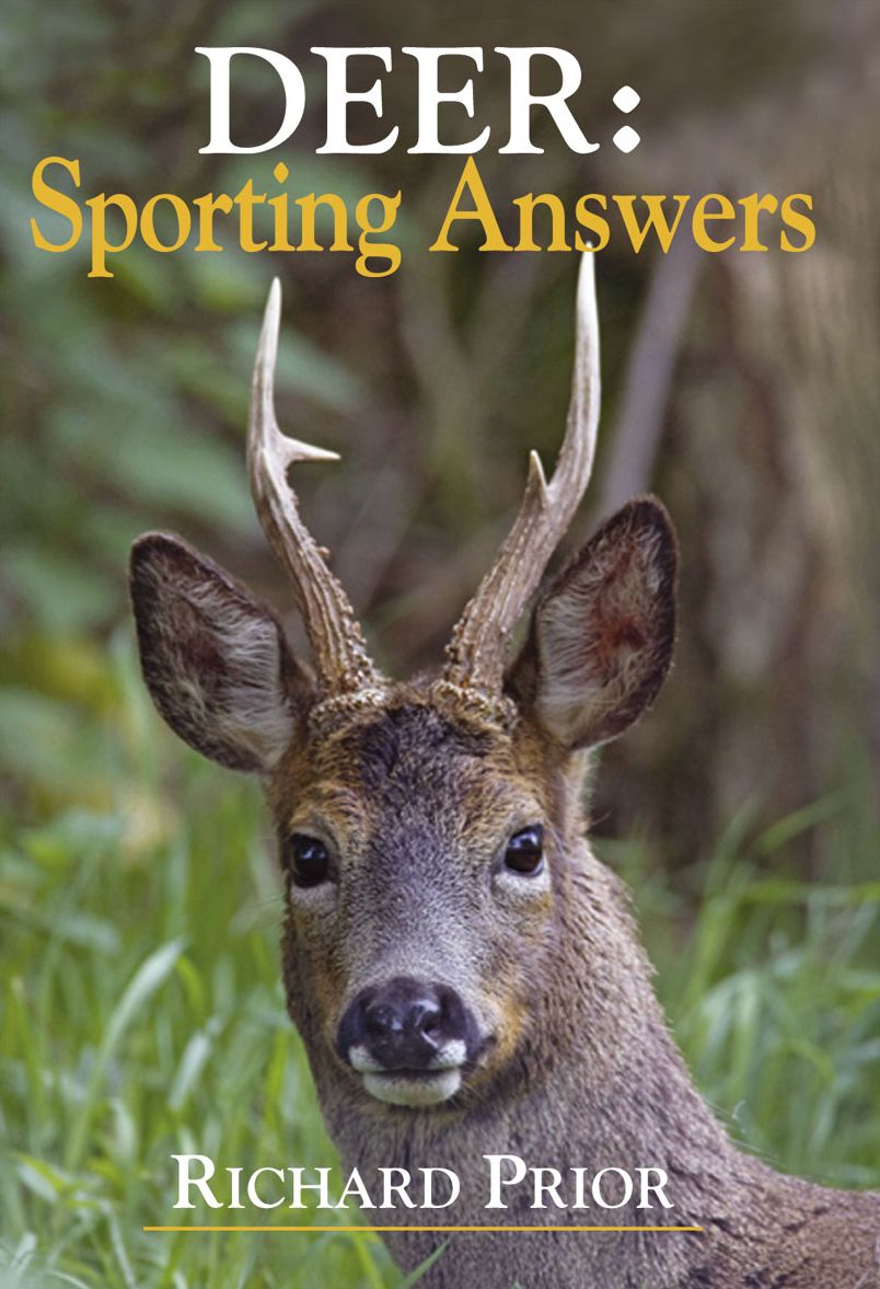 Deer: Sporting Answers