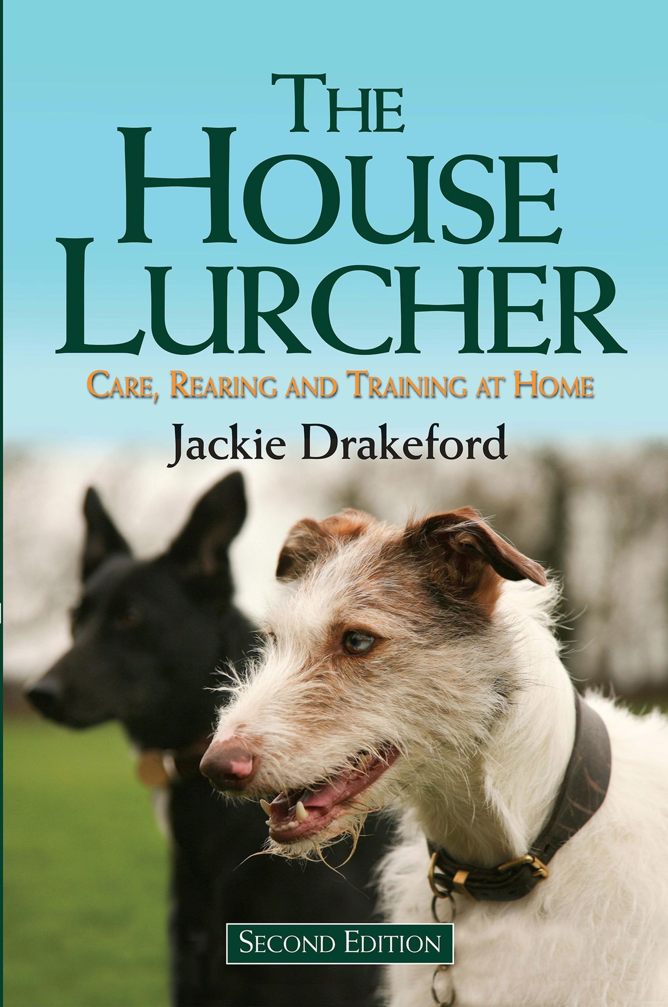 House Lurcher: Care, Rearing and Training at Home
