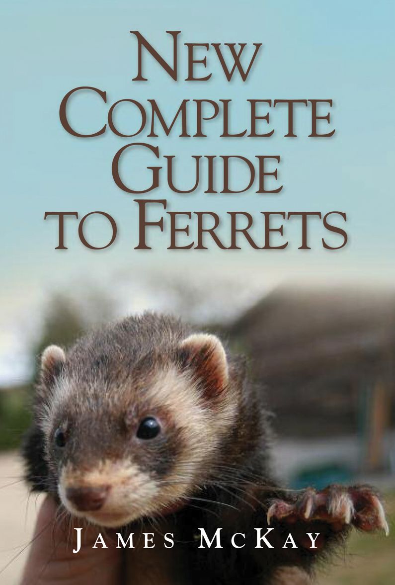 New Complete Guide to Ferrets