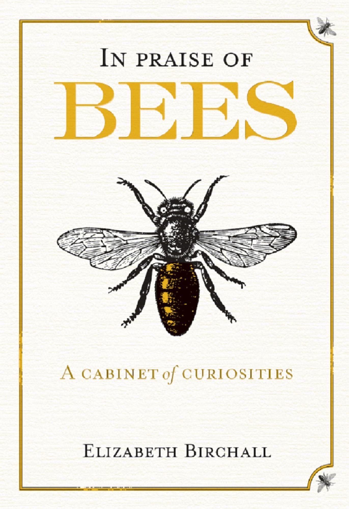 In Praise of Bees: A Cabinet of Curiosities