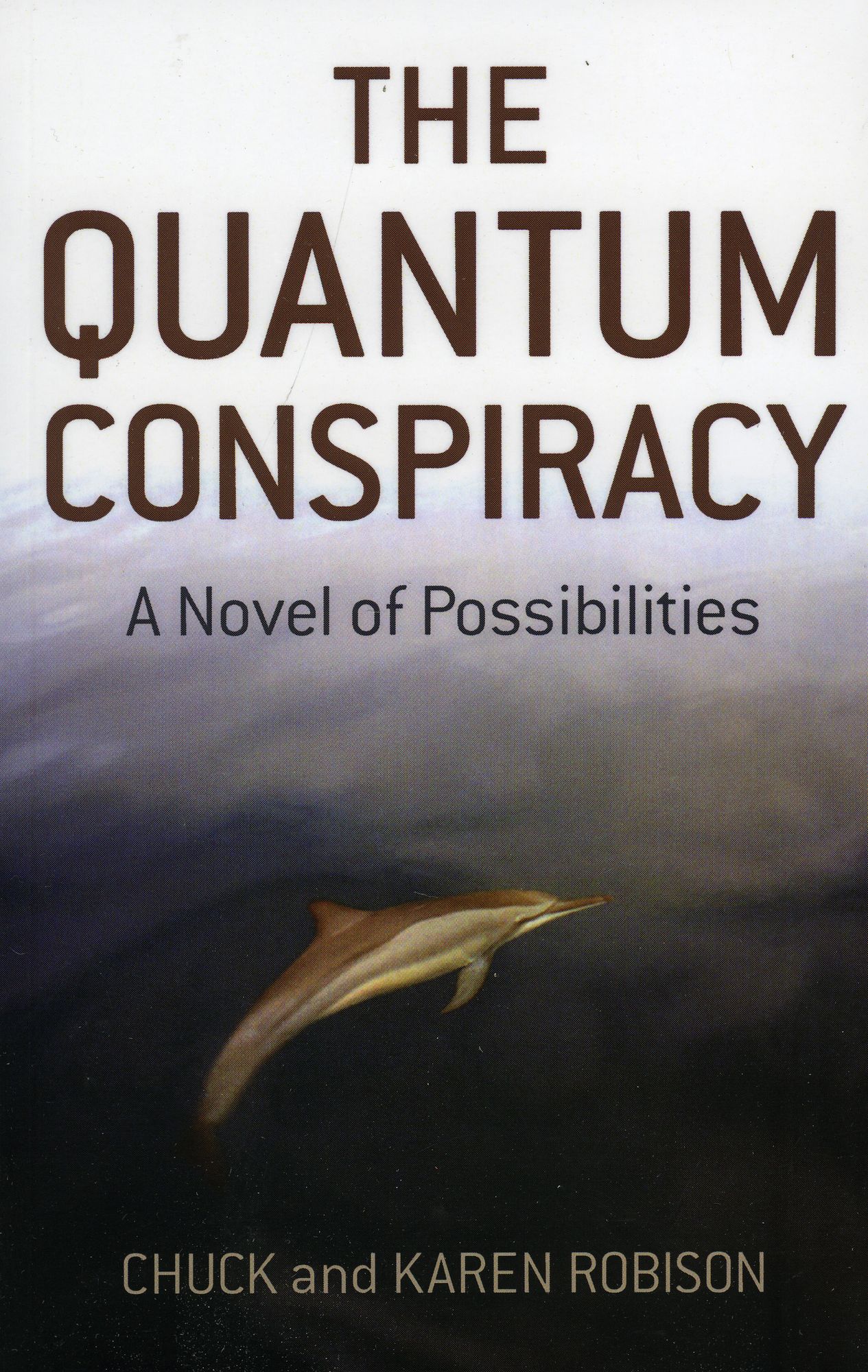 The Quantum Conspiracy: A Novel of Possibilities