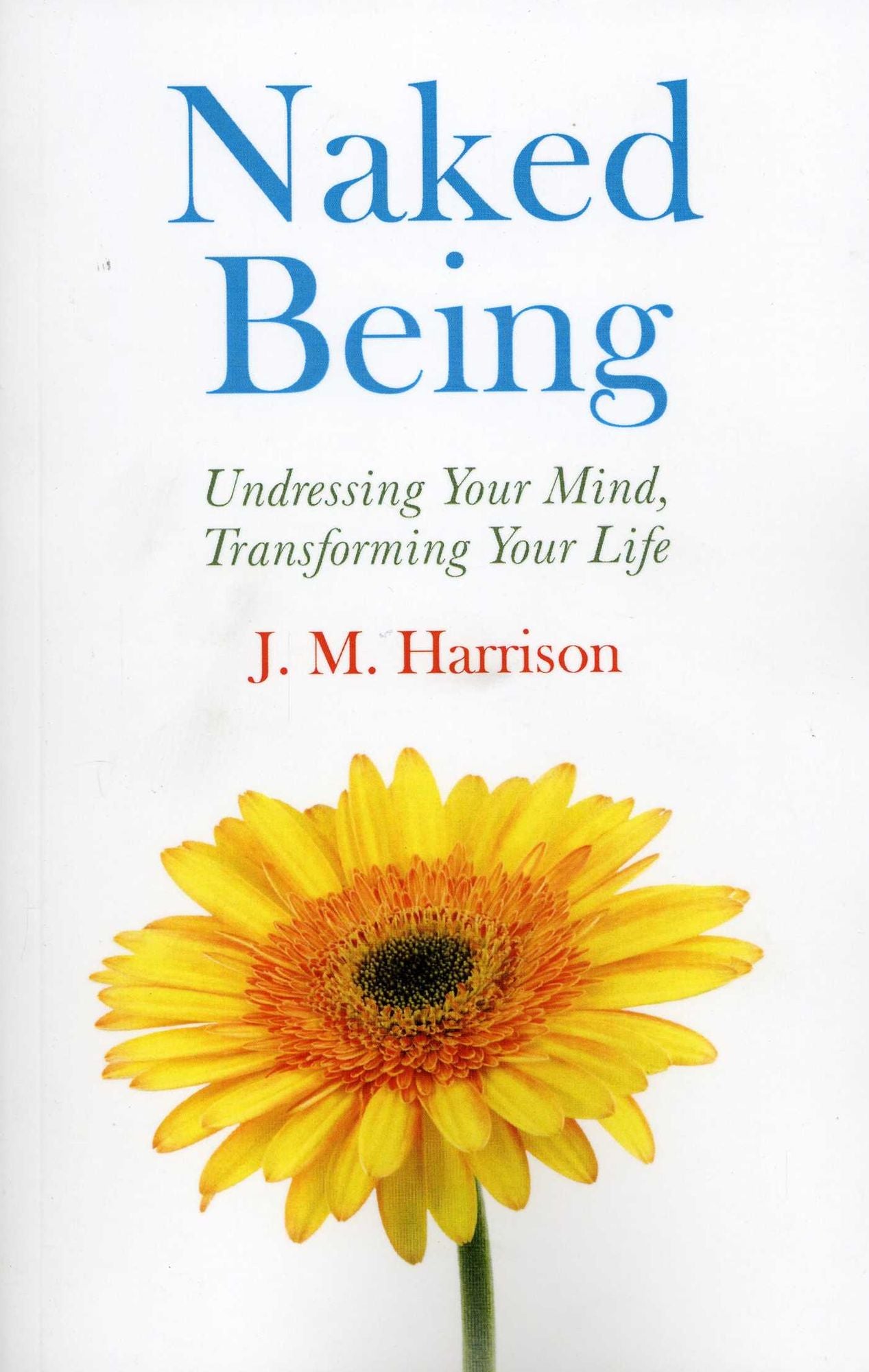 Naked Being: Undressing Your Mind, Transforming Your Life