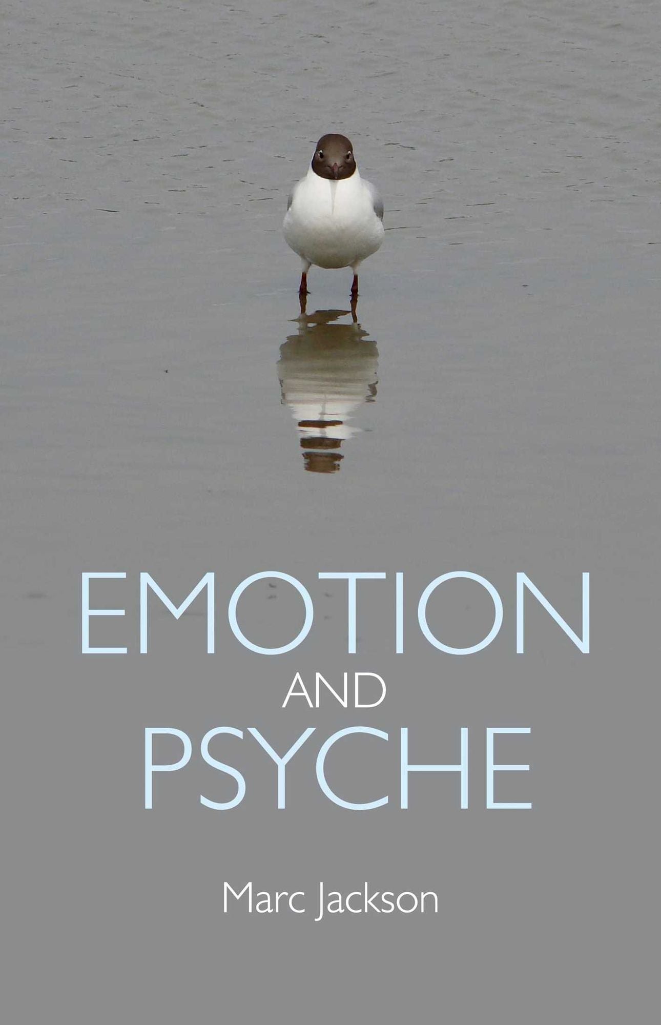 Emotion and Psyche