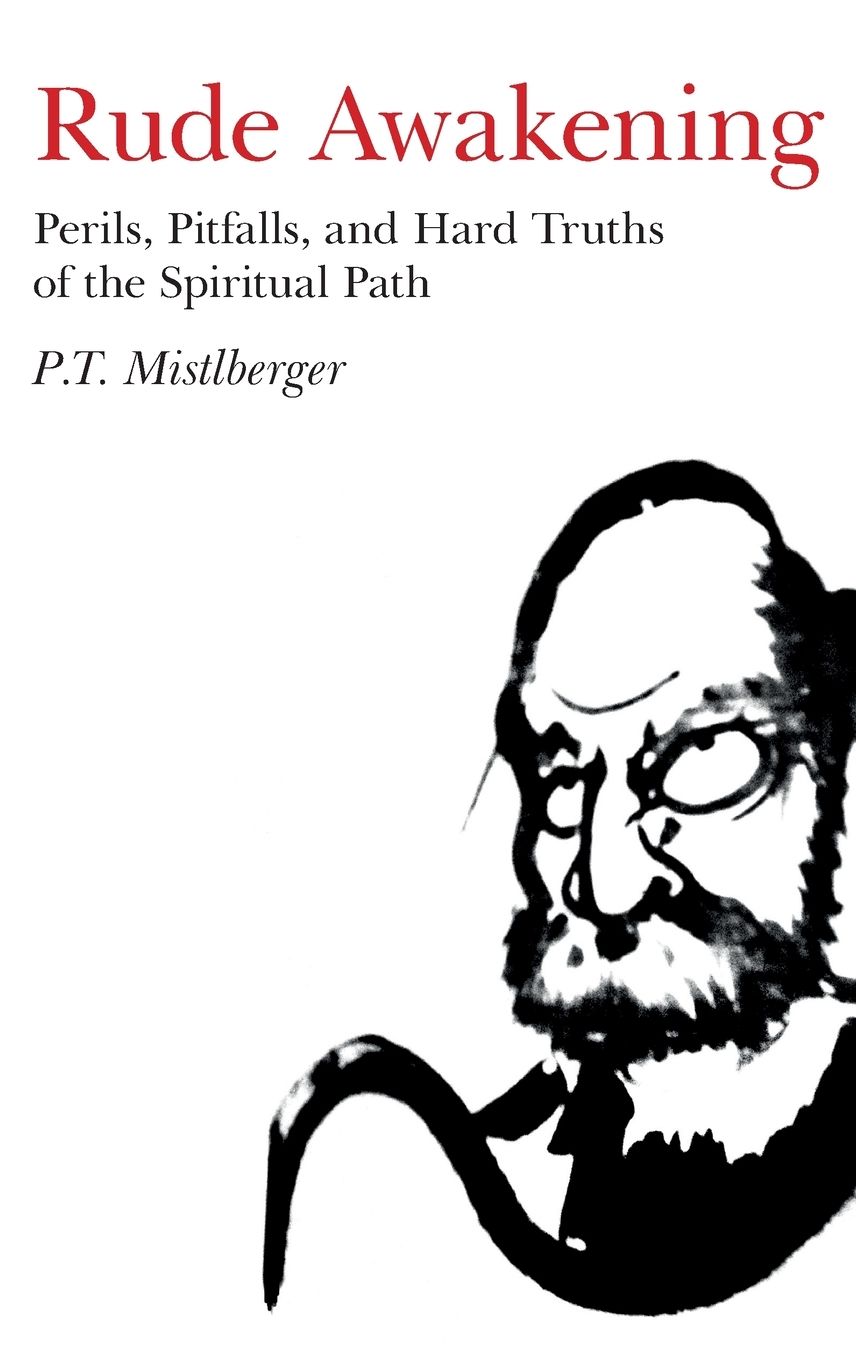 Rude Awakening: Perils, Pitfalls, and Hard Truths of the Spiritual Path