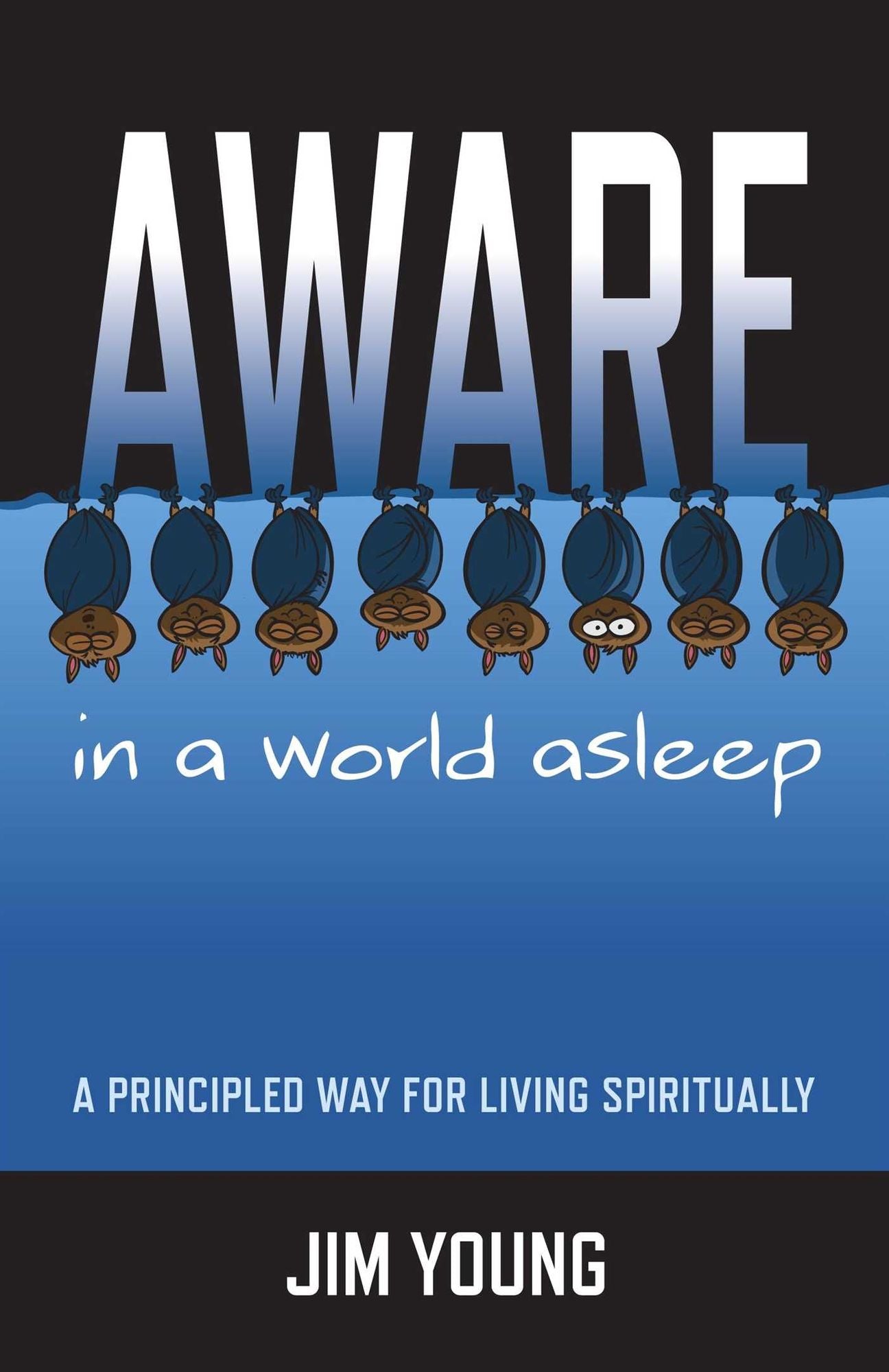 Aware In A World Asleep: A Principled Way for Living Spiritually