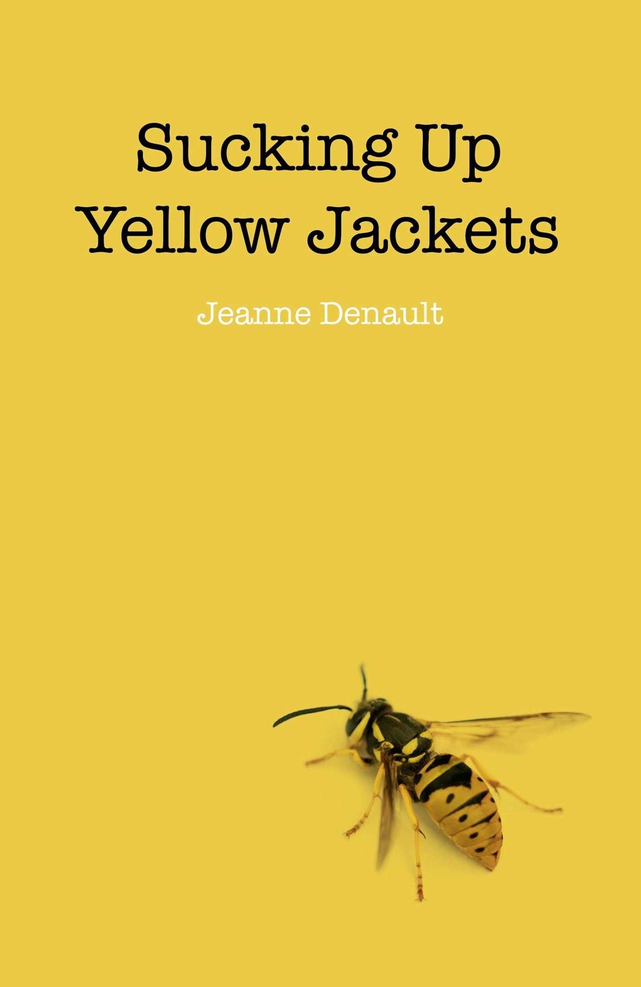 Sucking Up Yellow Jackets: Raising an Undiagnosed Asperger Syndrome Son Obsessed with Explosives