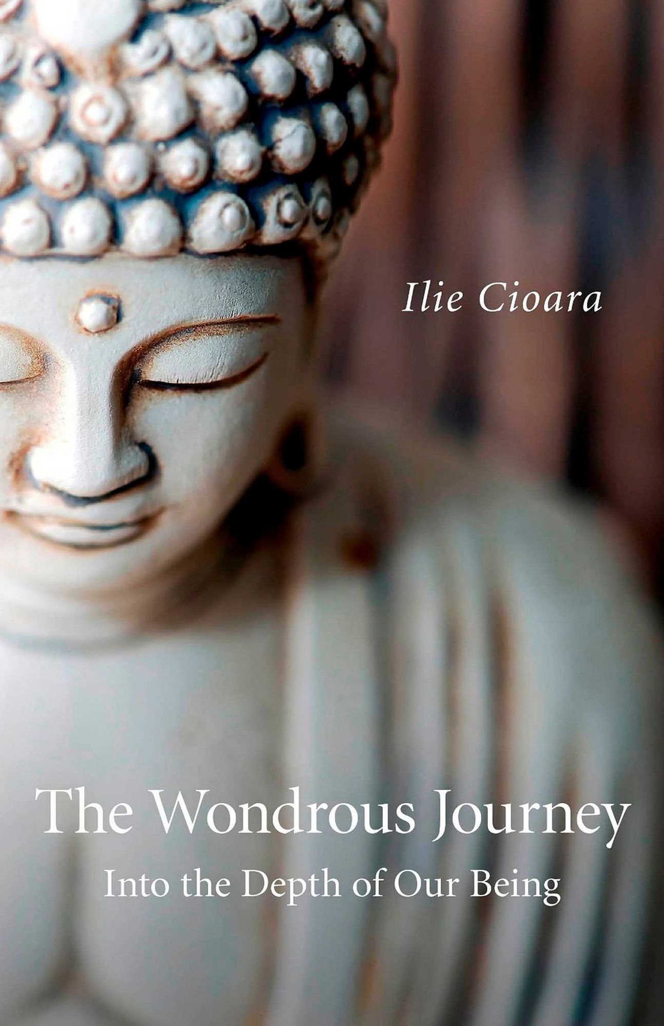 The Wondrous Journey: Into the Depth of Our Being