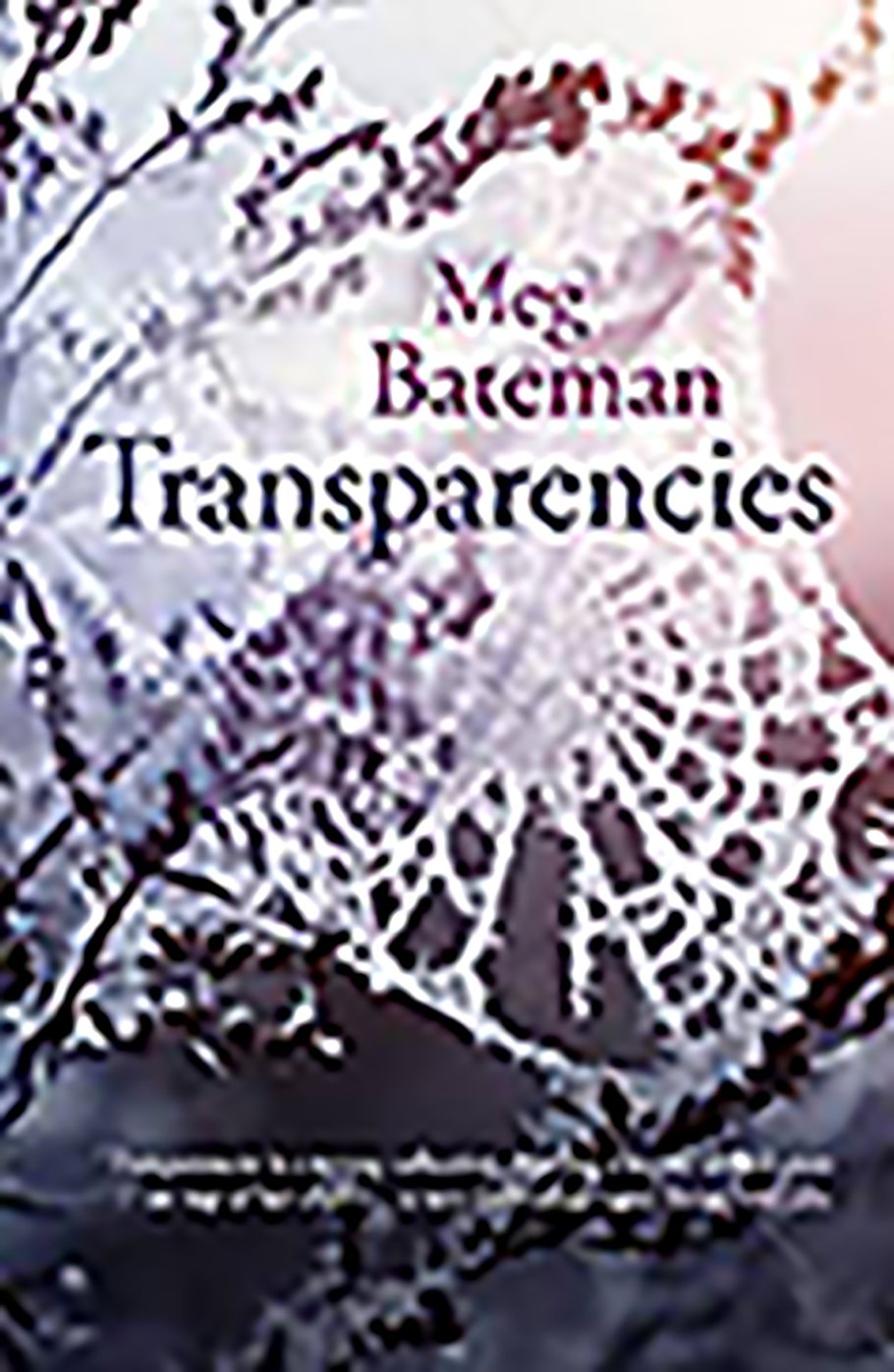 Transparencies