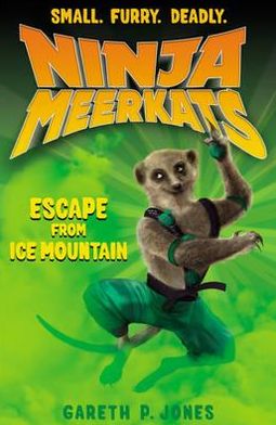 Mystery of Ice Mountain