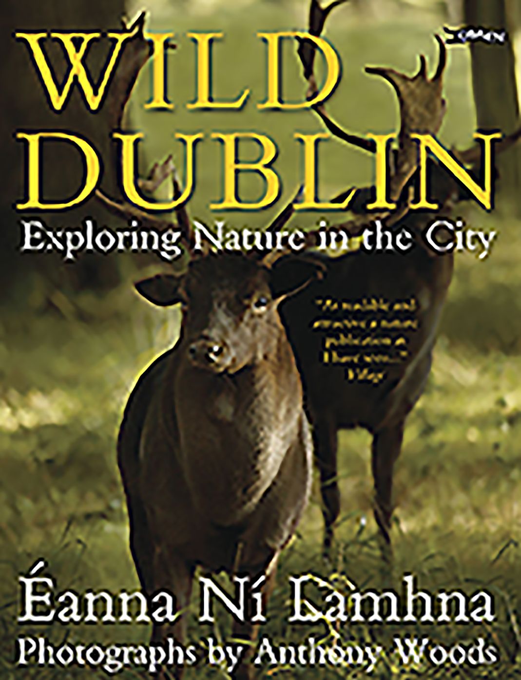 Wild Dublin: Exploring Nature in the City