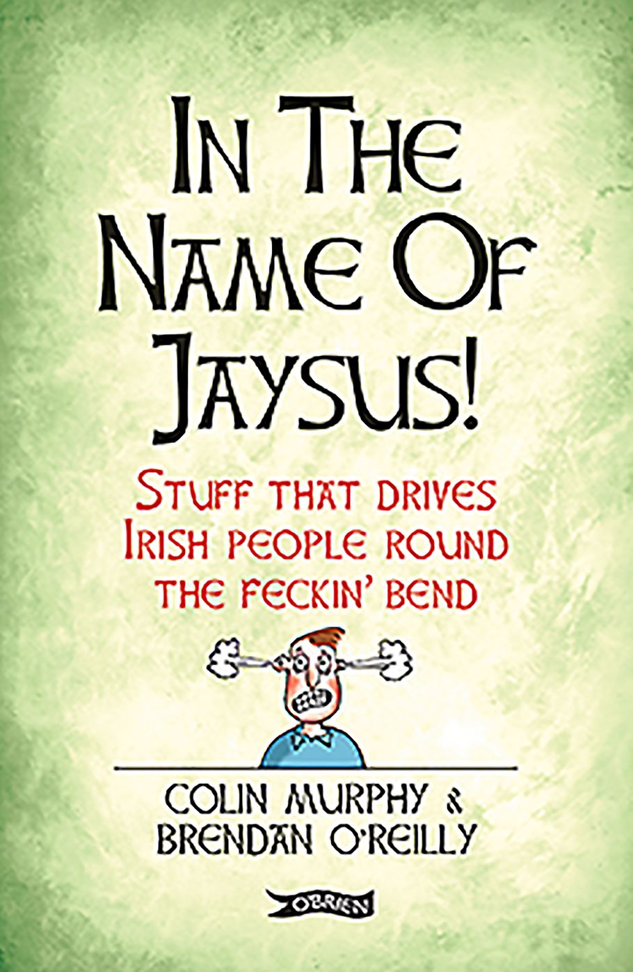 In the Name of Jaysus!: Stuff That Drives Irish People Round the Feckin' Bend