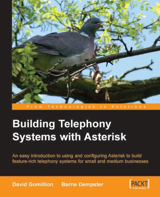Building Telephony Systems With Asterisk: An easy introduction to using and configuring Asterisk to build feature-rich telephony systems for small and medium businesses
