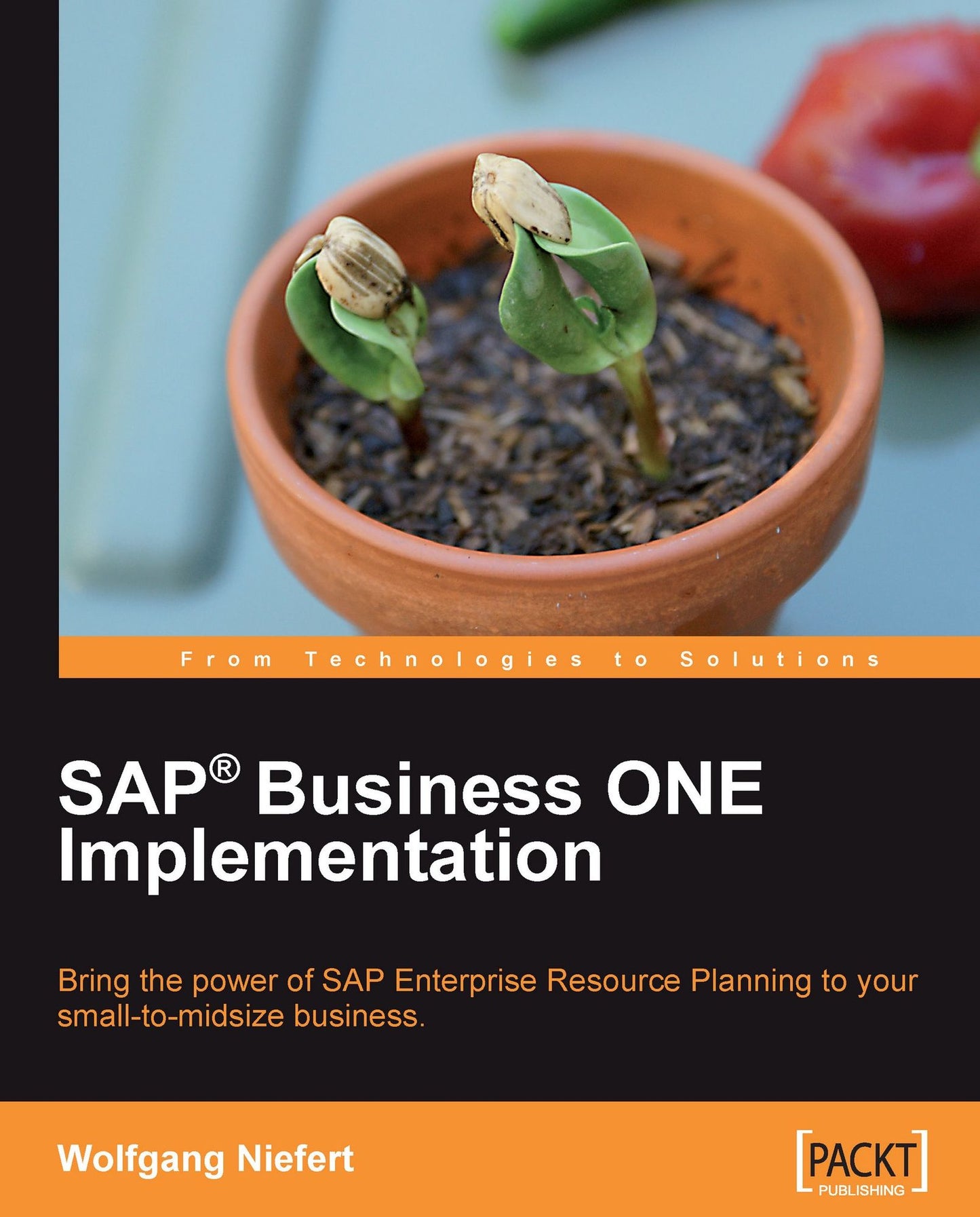 SAP® Business ONE Implementation