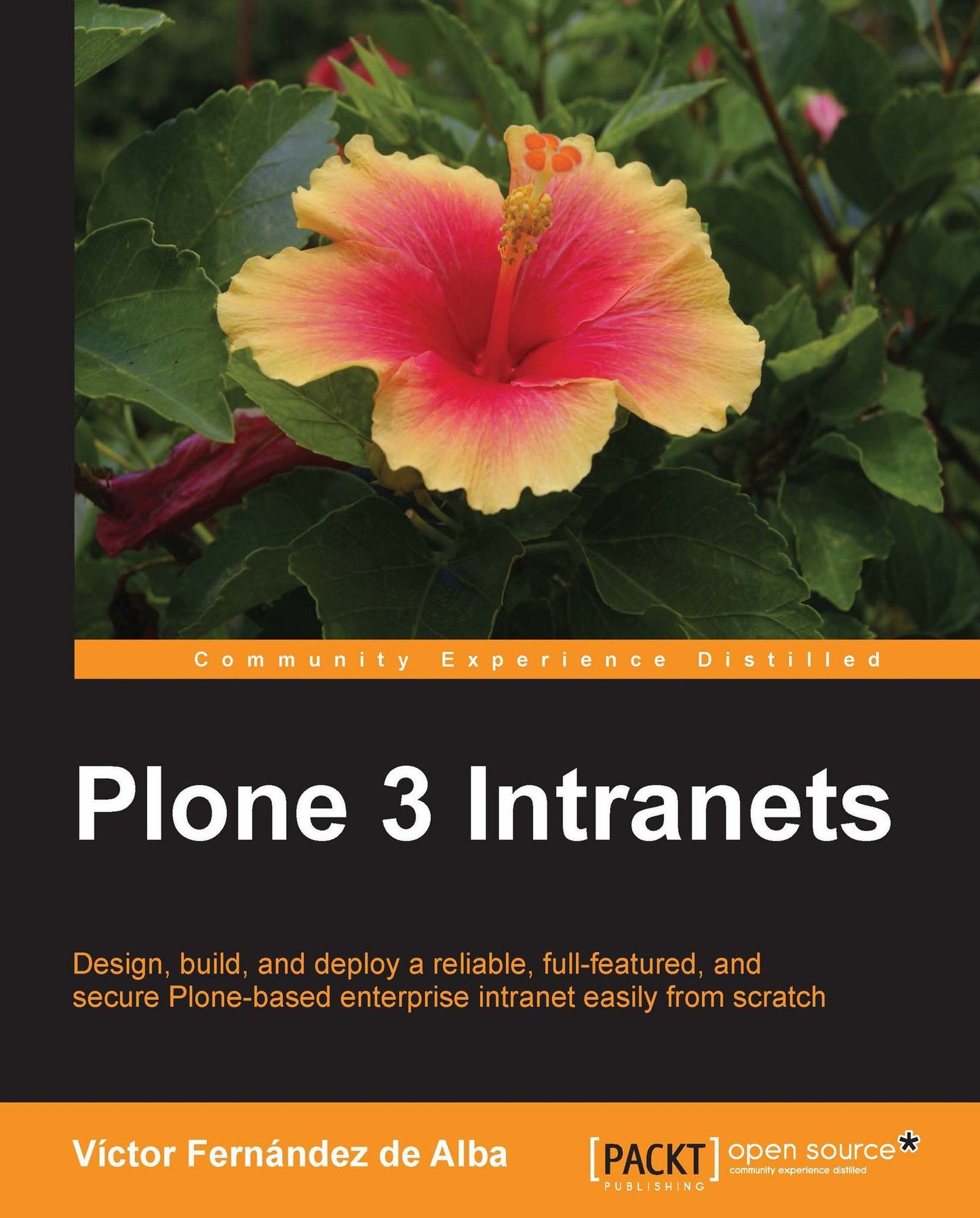 Plone 3 Intranets
