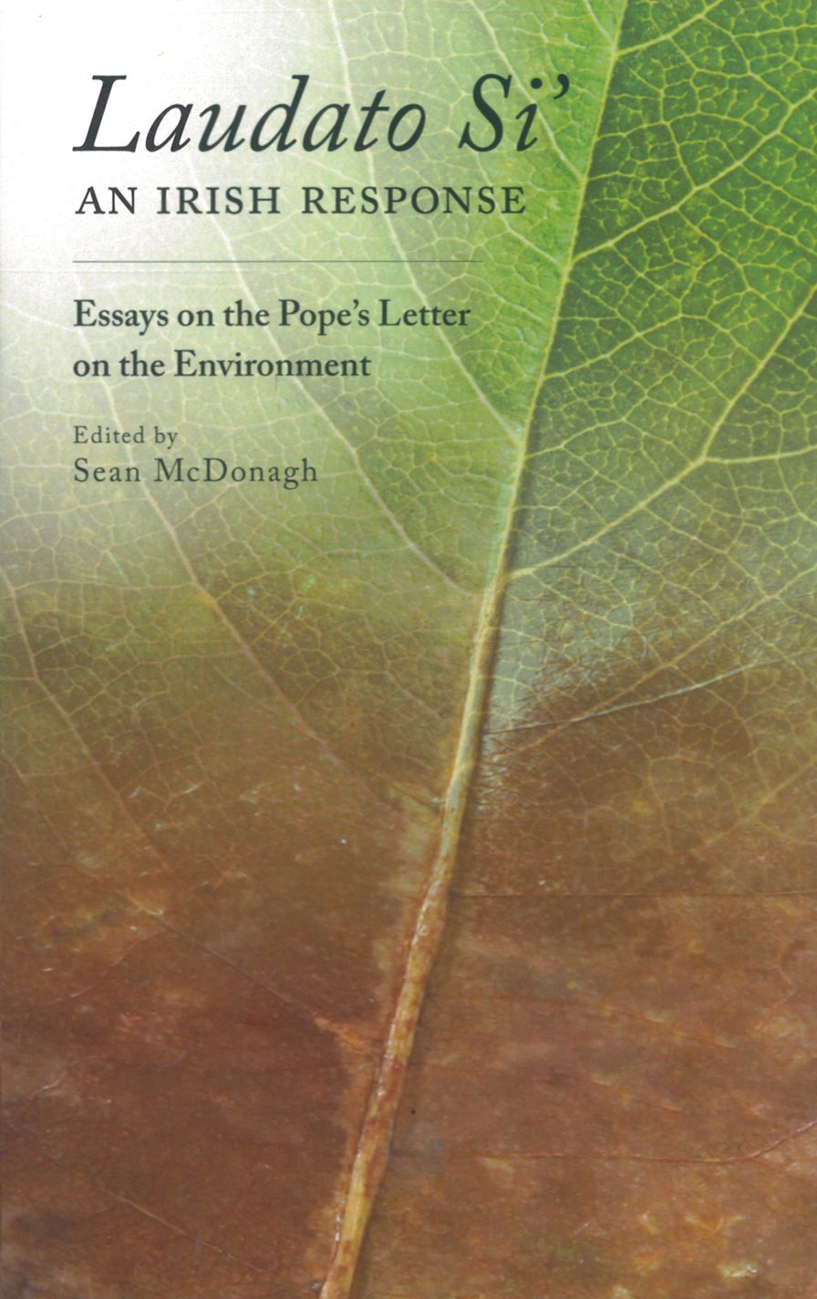 Reflections on Laudato Si'
