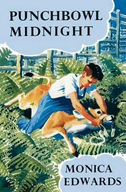 Punchbowl Midnight