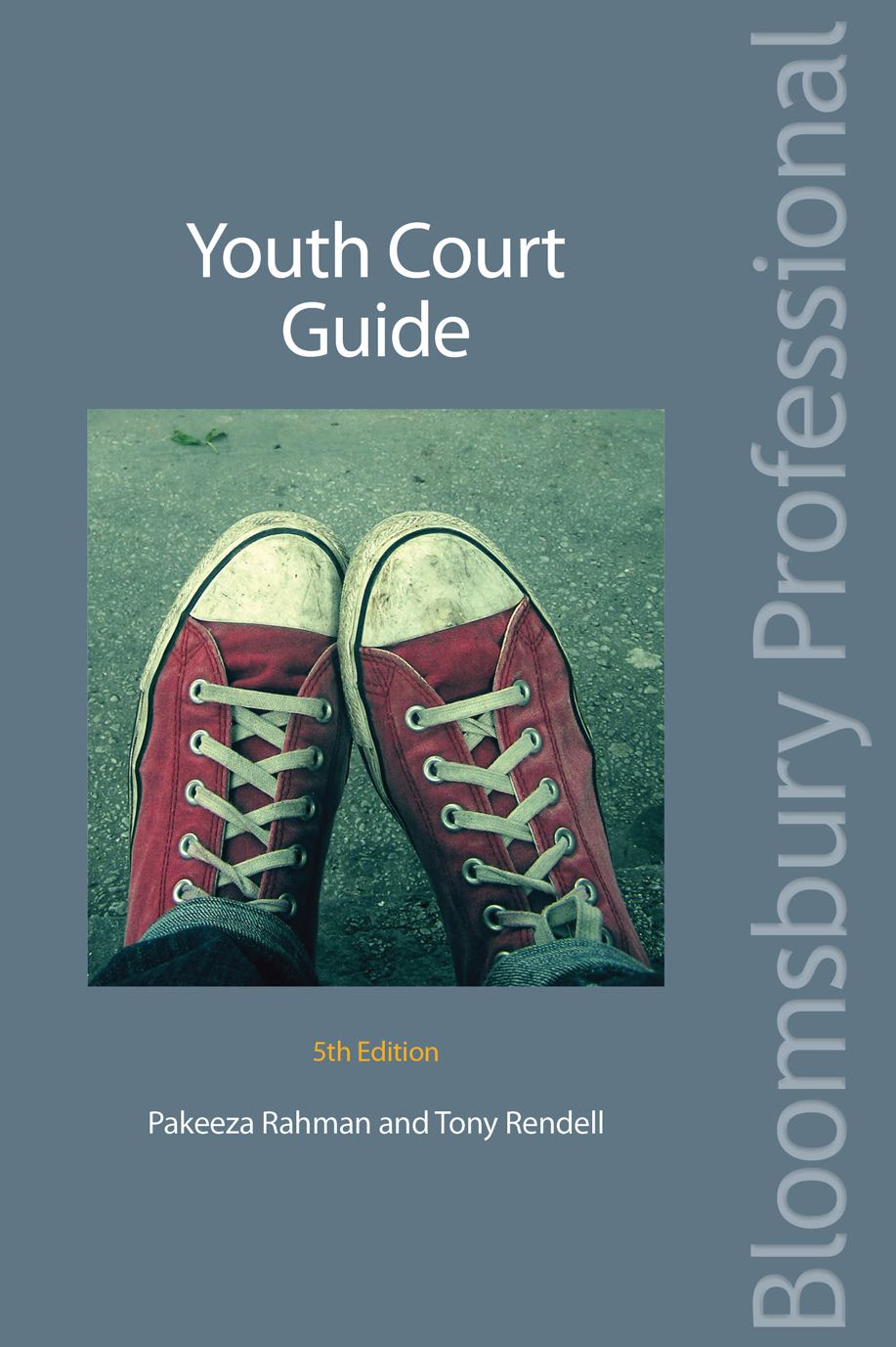 Youth Court Guide