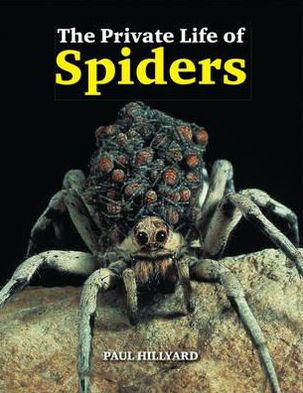 The Private Life of Spiders. Paul Hillyard