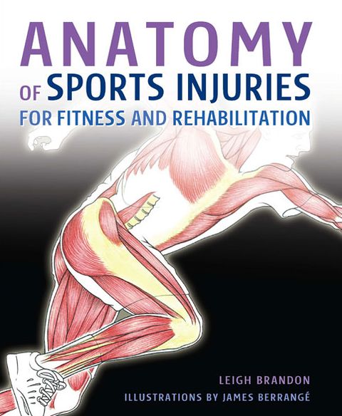 Anatomy of Sports Injuries: for fitness and rehabilitation