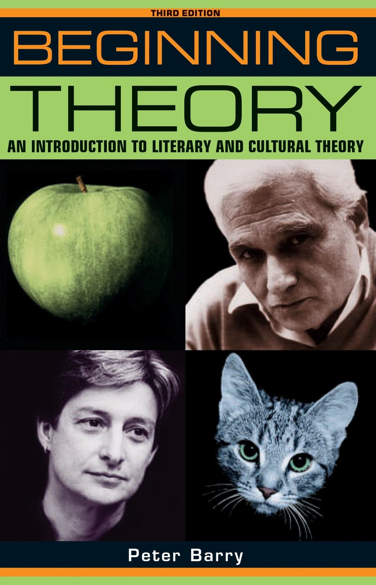 Beginning theory: An introduction to literary and cultural theory