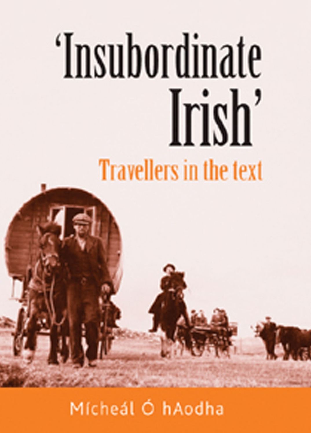 "Insubordinate Irish": Travellers in the Text