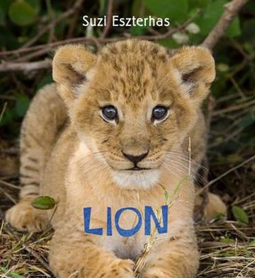 Eye on the Wild: Lion