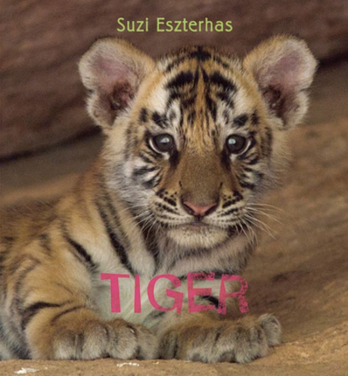 Eye on the Wild: Tiger