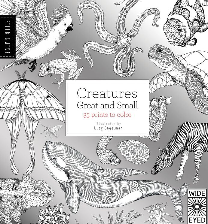 Field Guide: Creatures Great and Small: 35 prints to color