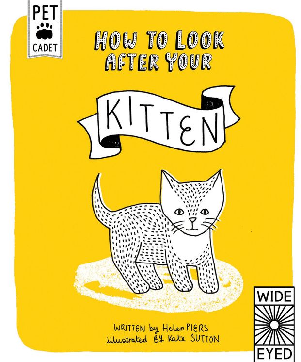 How to Look After Your Kitten