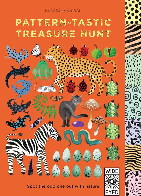 Pattern-tastic Treasure Hunt: Spot the odd one out with nature