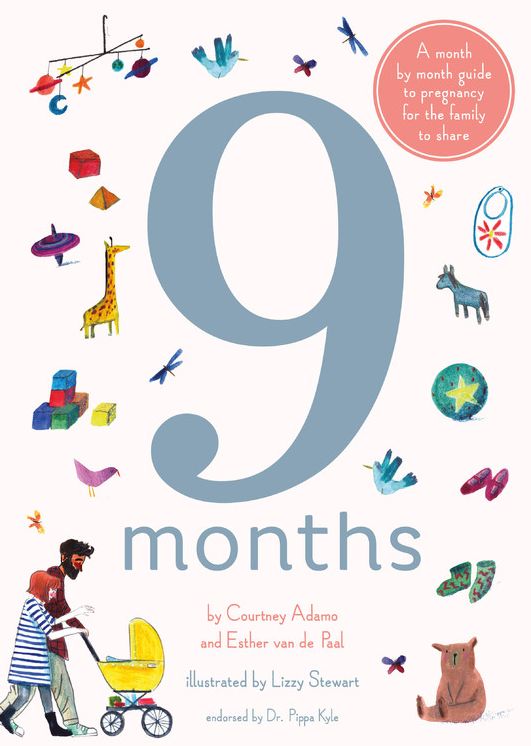 9 Months: A month by month guide to pregnancy for the family to share