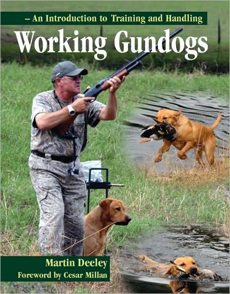 Working Gundogs: An Introduction to Training and Handling