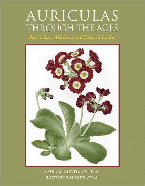 Auriculas Through the Ages: Bear's Ears, Ricklers and Painted Ladies