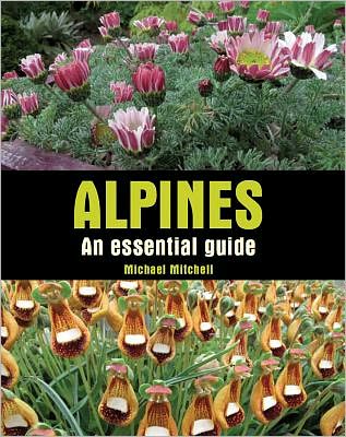 Alpines: An Essential Guide