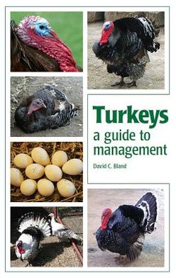 Turkeys: A Guide to Management