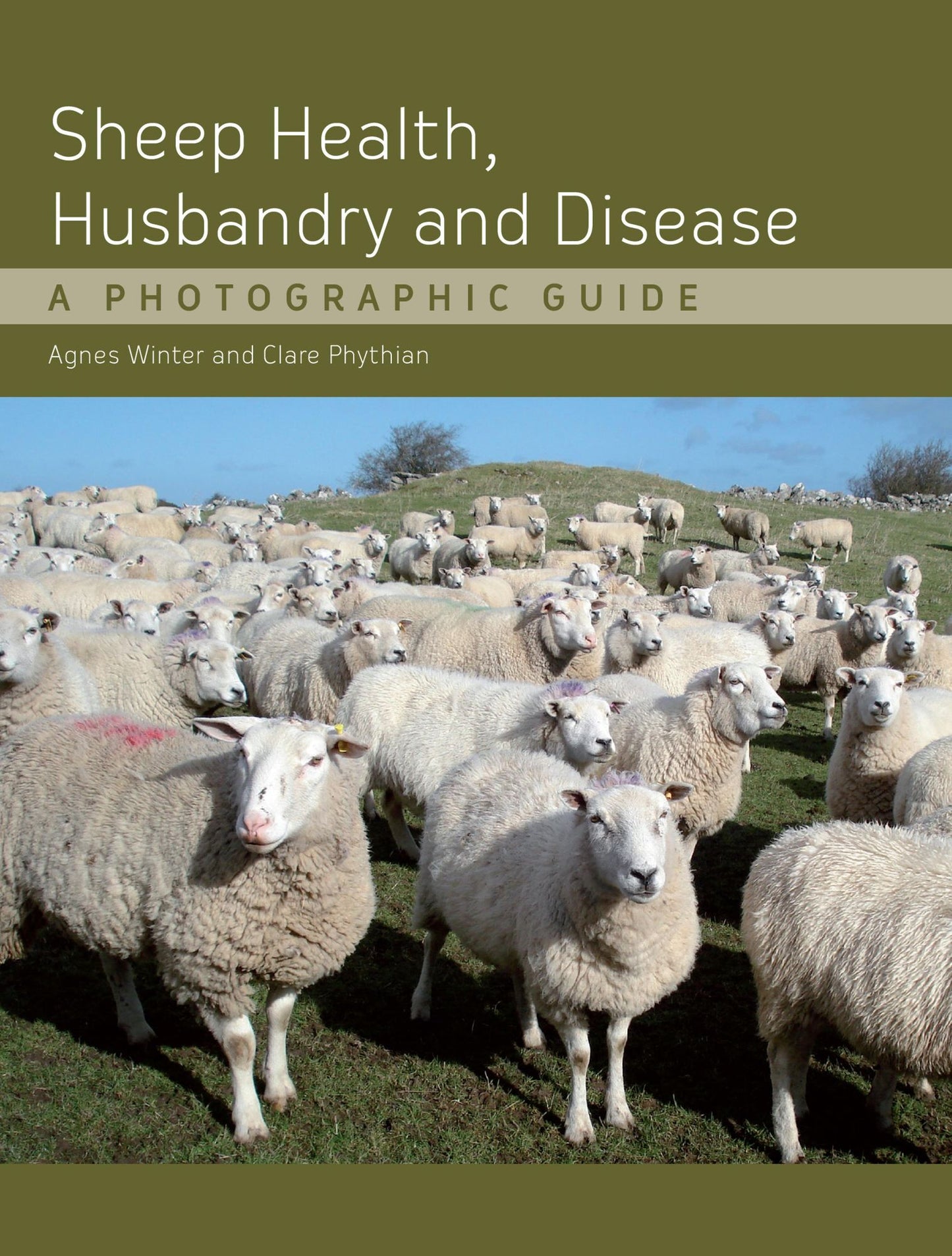 Sheep Health, Husbandry and Disease: A Photographic Guide
