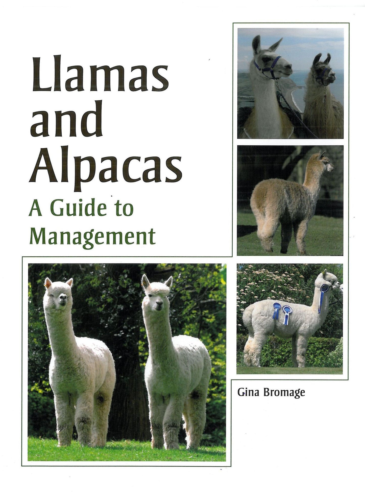 Llamas and Alpacas: A Guide to Management