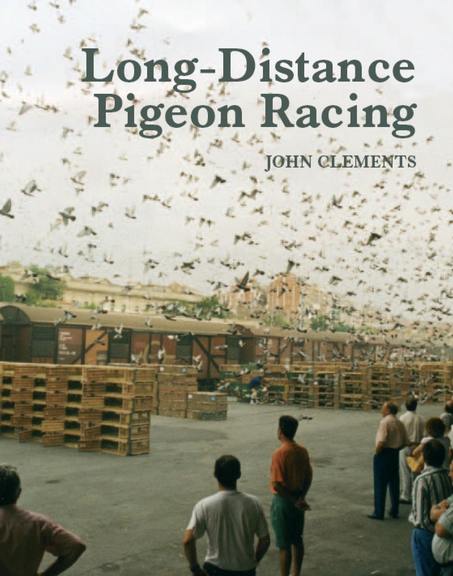 Long-Distance Pigeon Racing